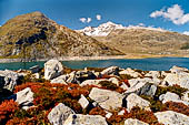 Lago di Montespluga 